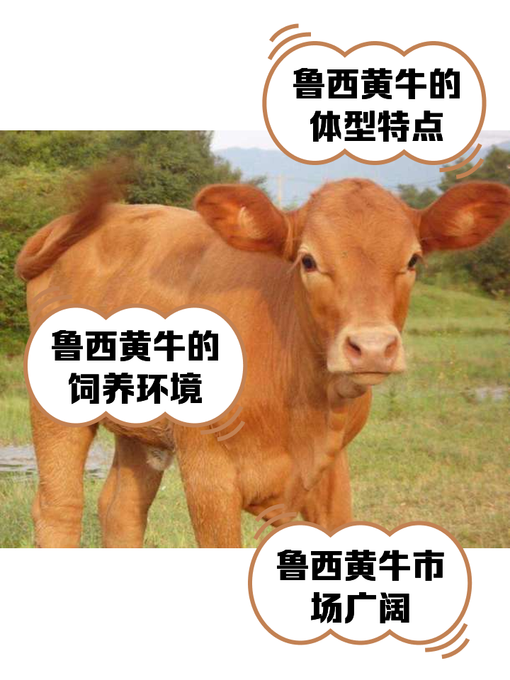 图木舒克最新医保取现黄牛方法分析(最方便真实的图木舒克医保取现黄牛怎么取方法)